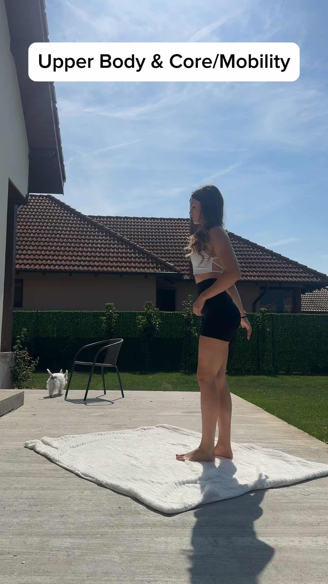 Upper Body & Core / Mobility Workout