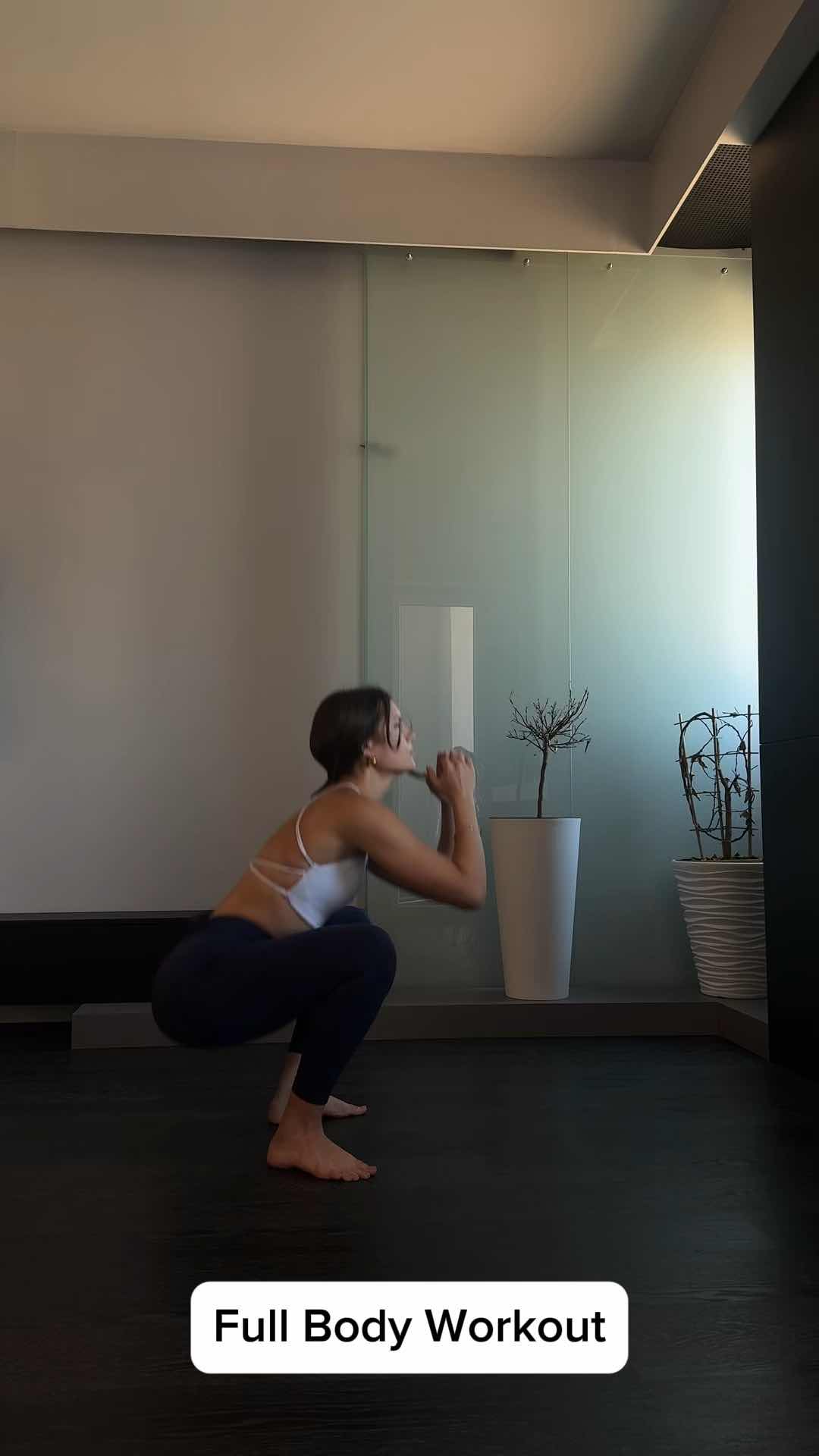 Full Body Workout No Equipment Needed