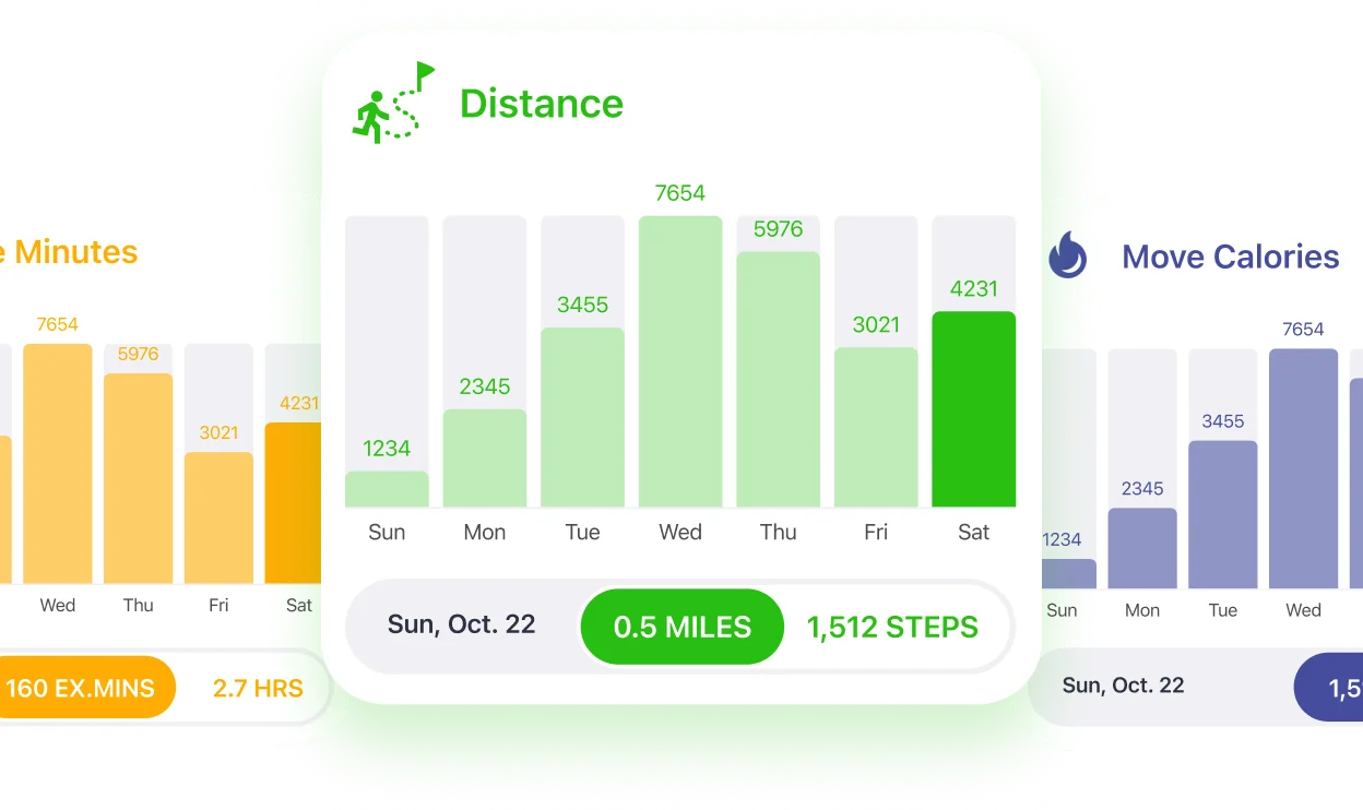 Distance and calorie activity summary in Strive