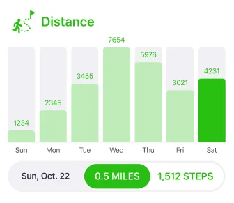 Walking distance recorded in Strive