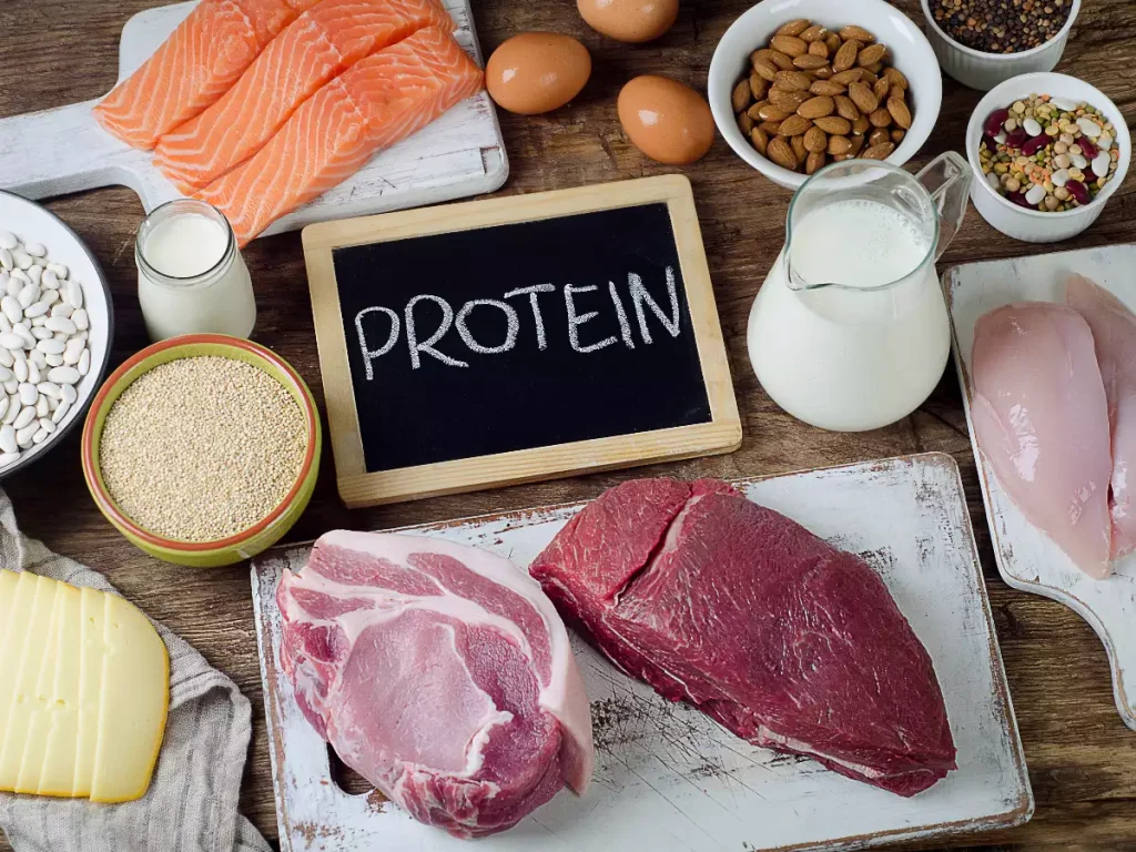 protein and weight loss